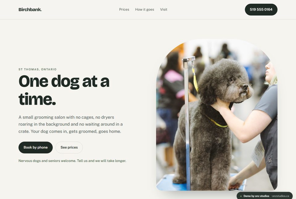 A demo site for Birchbank Grooming, with a headline reading one dog at a time